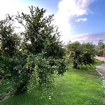 1 Villa Trajas